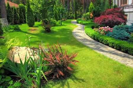 Creating Hardscape Heavens